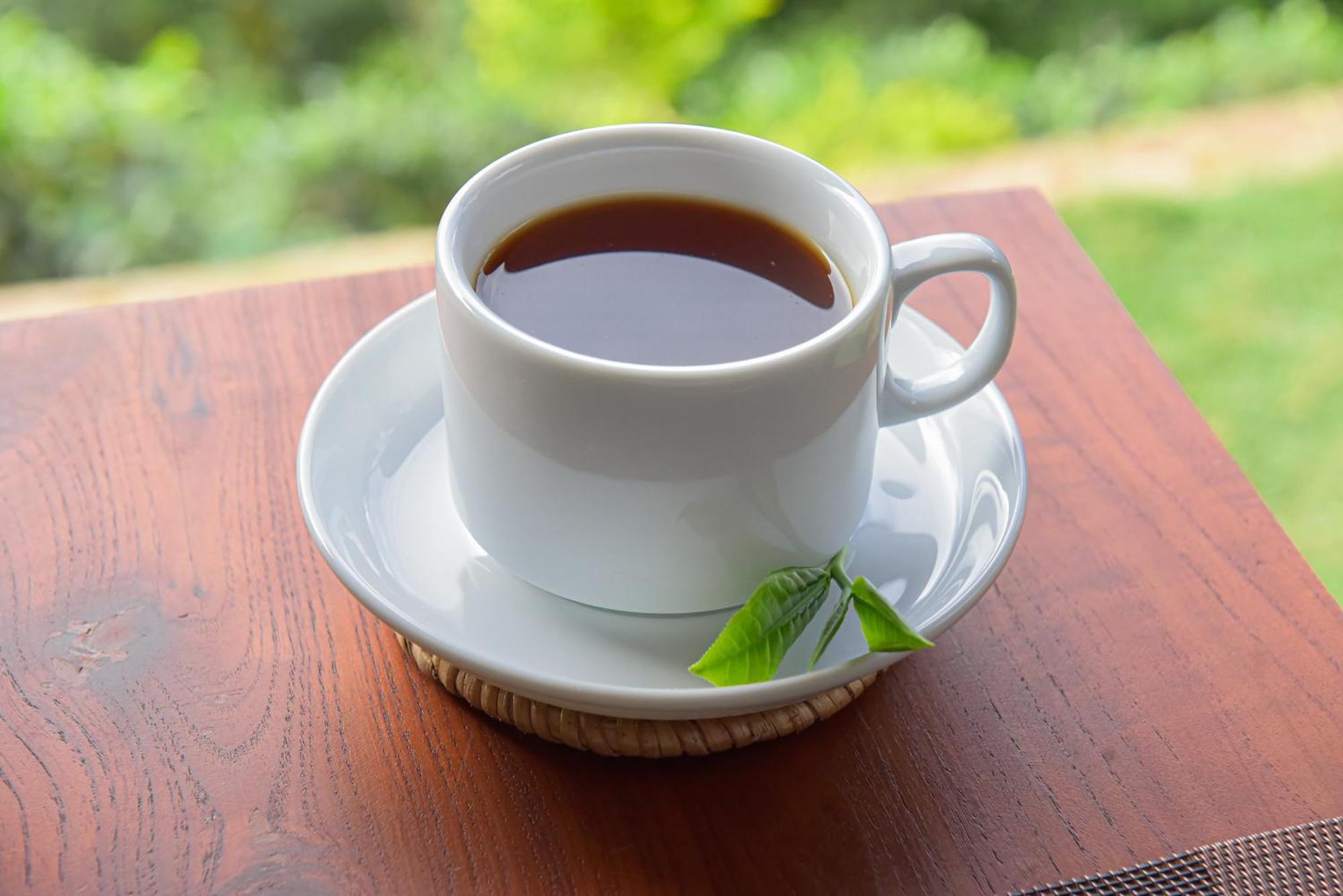 Hotel Tea Hills Ella Zewnętrze zdjęcie